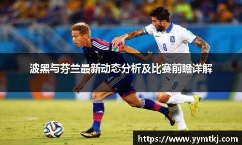 波黑与芬兰最新动态分析及比赛前瞻详解